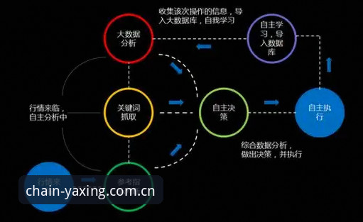 深度揭秘：自主定义标准版海外华人下载哪个好？一个行业分析师的原理解读